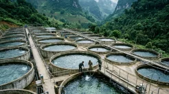 Hệ thống bể nuôi tiêu chuẩn tại Việt Nam là yếu tố quan trọng quyết định cá tầm nuôi bao lâu thì thu hoạch