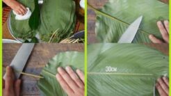 Cách Gói Bánh Chưng Vuông Không Cần Khuôn