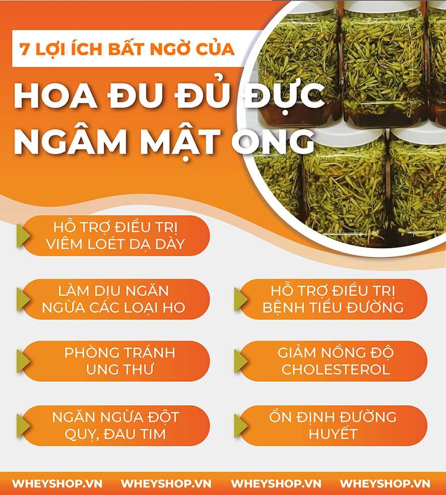 Cách ngâm hoa đu đủ đực với mật ong có tác dụng gì? Hãy cùng WheyShop làm phương thuốc ngâm hoa đu đủ đực với mật ong tại nhà nhé