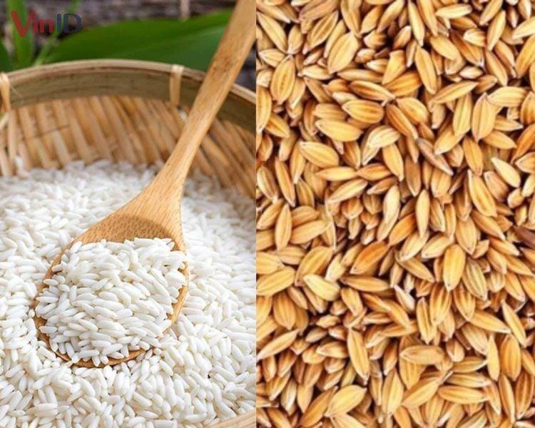 Nguyên liệu cơ bản cần có để làm kẹo mạch nha