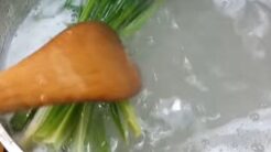 Cách Làm Rau Câu Trái Dừa Mát Lạnh Cho Mùa Hè