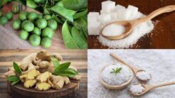 Cách làm Sấu Ngâm đường: Tạo món uống giải nhiệt mát lạnh ngày hè