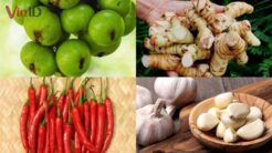 Cách Làm Sung Muối Chua Ngọt - Tạo Hương Vị Mới Cho Bữa Cơm