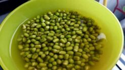 Cách Nấu Cháo Bồ Câu: Tìm Hiểu Món Ăn Bổ Dưỡng Này