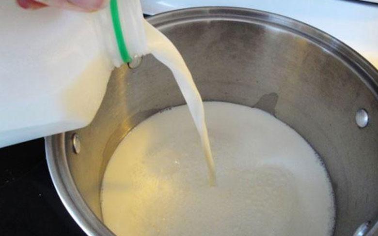 Cách làm sữa chua nếp cẩm: Nấu sữa