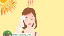 Cách Nấu Sâm Bông Cúc: Tổng Hợp 8 Công Thức Giải Nhiệt Mùa Hè