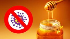 Cách Ngâm Mật Ong Với Tỏi: Phương Thuốc Dân Gian Cho Sức Khỏe