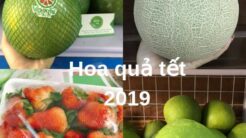 Cách Trang Trí Trái Cây: Nghệ Thuật Hấp Dẫn Cho Món Ăn