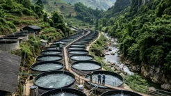 Khung cảnh trang trại nước lạnh giúp nhà đầu tư quyết định có nên nuôi cá tầm không tại Việt Nam