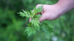 Những Cách Xả Xui Để Mang Lại May Mắn Cho Bản Thân và Gia Đình