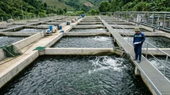 Hệ thống bể xi măng tiêu chuẩn phục vụ mô hình nuôi cá tầm nước ngọt tại vùng núi cao