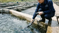 Kỹ thuật viên đo pH nước nuôi cá tầm bằng bút thử điện tử tại trang trại cá nước lạnh ở Việt Nam