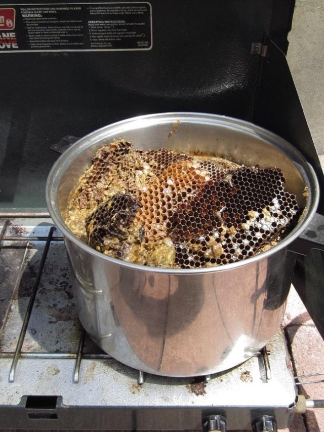 Cách Chế Biến Sáp Ong: Tự nấu sáp ong tại nhà