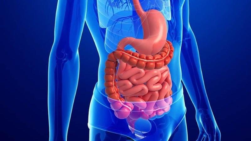 Tinh bột nghệ giúp hỗ trợ các triệu chứng tiêu hóa rất hiệu quả