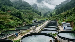 Toàn cảnh hệ thống bể bạt nổi tiêu chuẩn giúp tối ưu nguồn vốn nuôi cá tầm cho người mới bắt đầu tại vùng núi Việt Nam